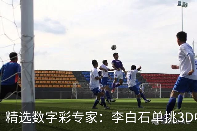 精选数字彩专家：李白石单挑3D中直选 连续6期中奖