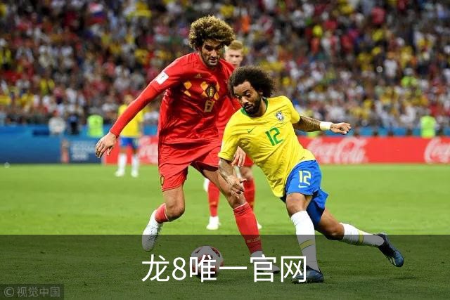 关于龙8唯一官网